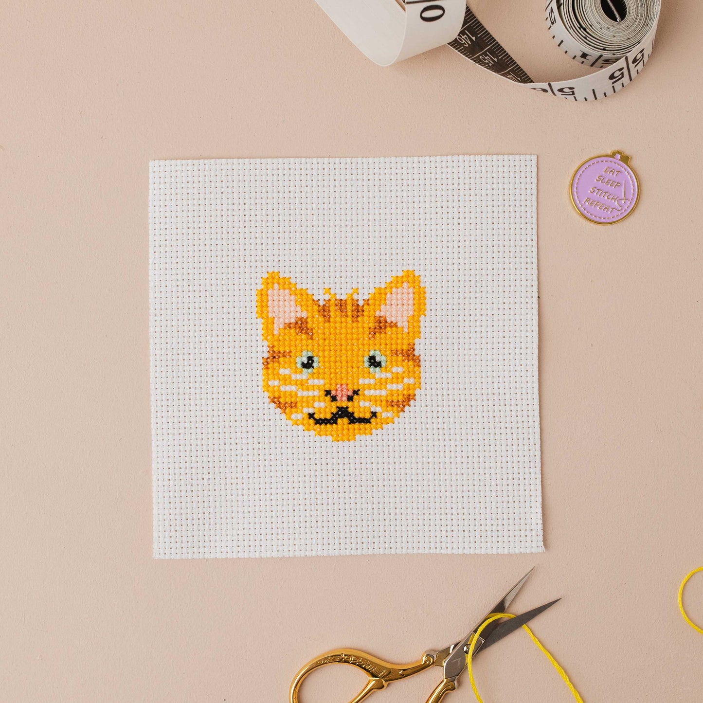 Ginger Cat Mini Counted Cross Stitch Kit